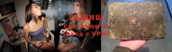индика Новоузенск