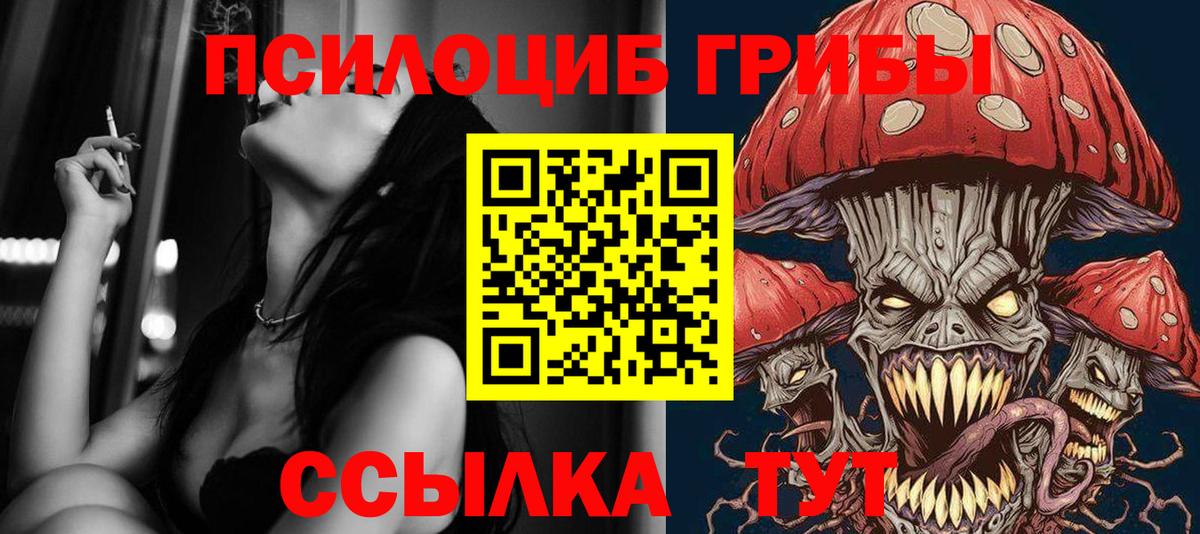 Муравленко  Галлюциногенные грибы Psilocybe  Вход с VPN 